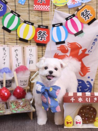 20240727まるちゃん